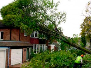 Storm Damage Guildford